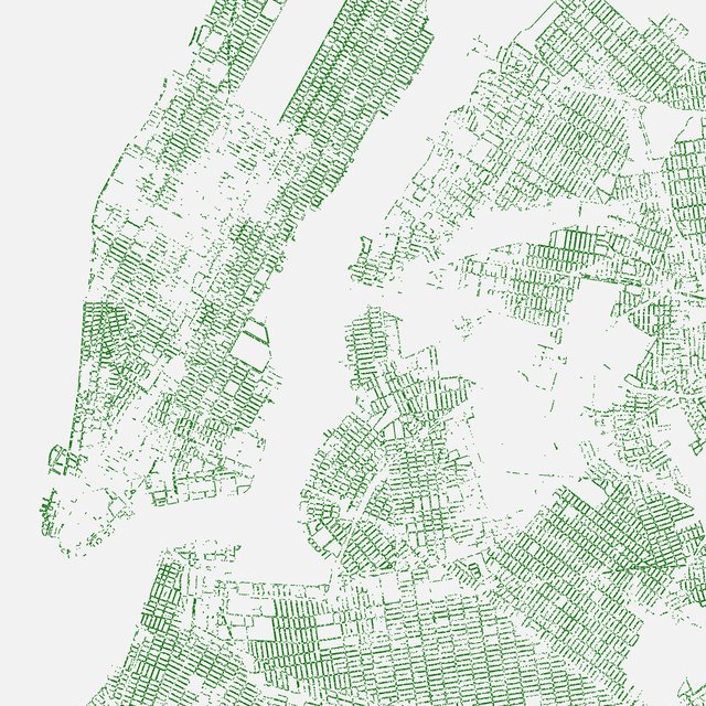 Close-up detail of the New York tree map print