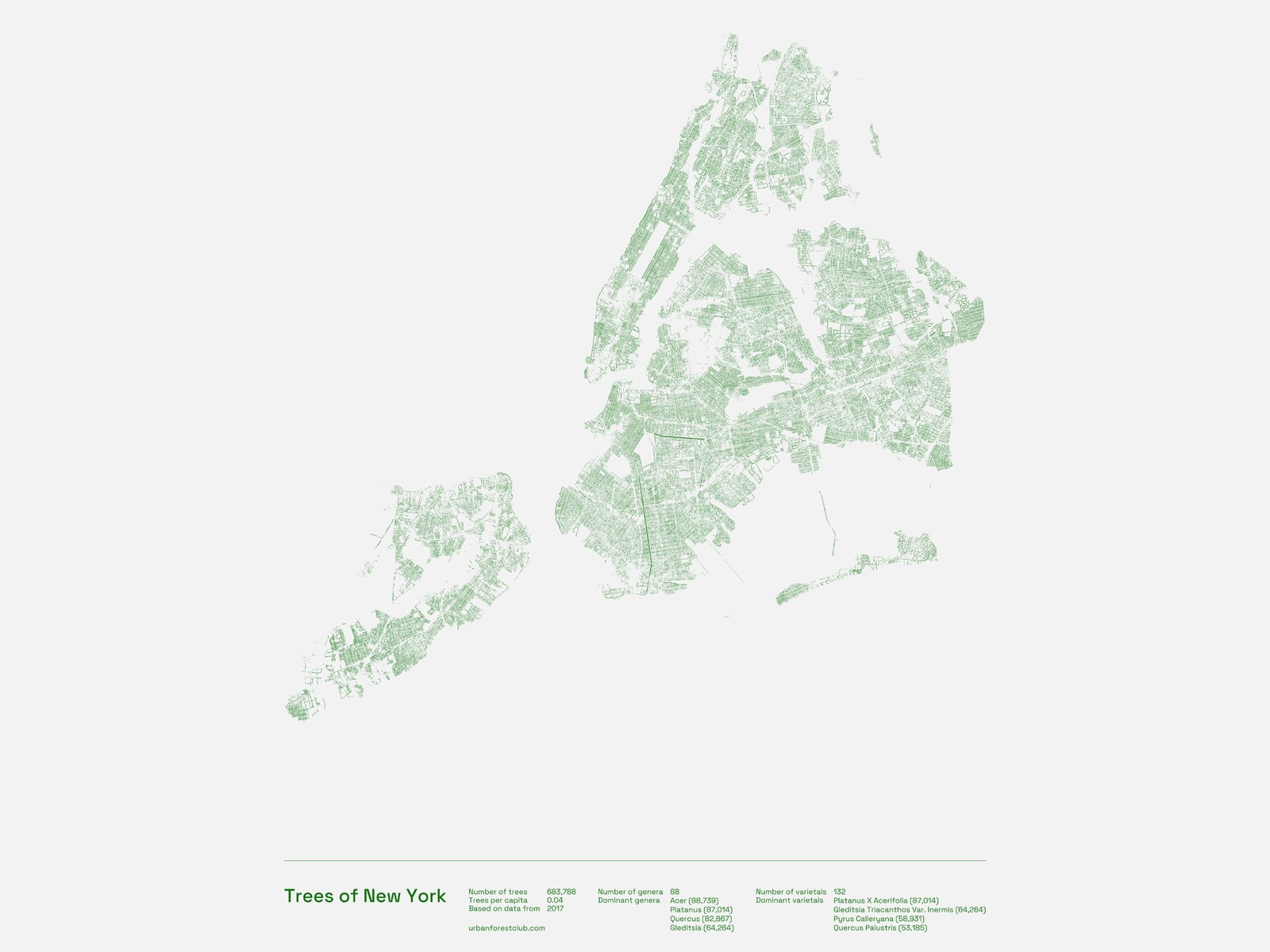 Minimalist print mapping every public tree in New York